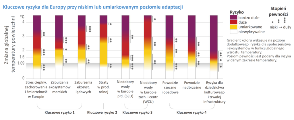 kluczowe-ryzykla-dla-europy-przy-niskim-lub-umierkowanym-poziomie-adaptacji-wykres